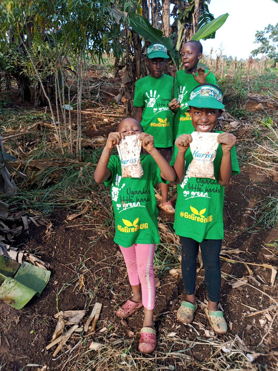 ByamugishaMoses's tweet photo. Following yesterday's Green Festival organized by the @LilHandsGoGreen , the girls today have planted the fruit trees that they received. They included trees for mangos π₯, oranges π, jackfruit, avocado π₯ etc.
Thank you Mr @JosephMasembe1 and your team for, https://t.co/0BLAojgAr6