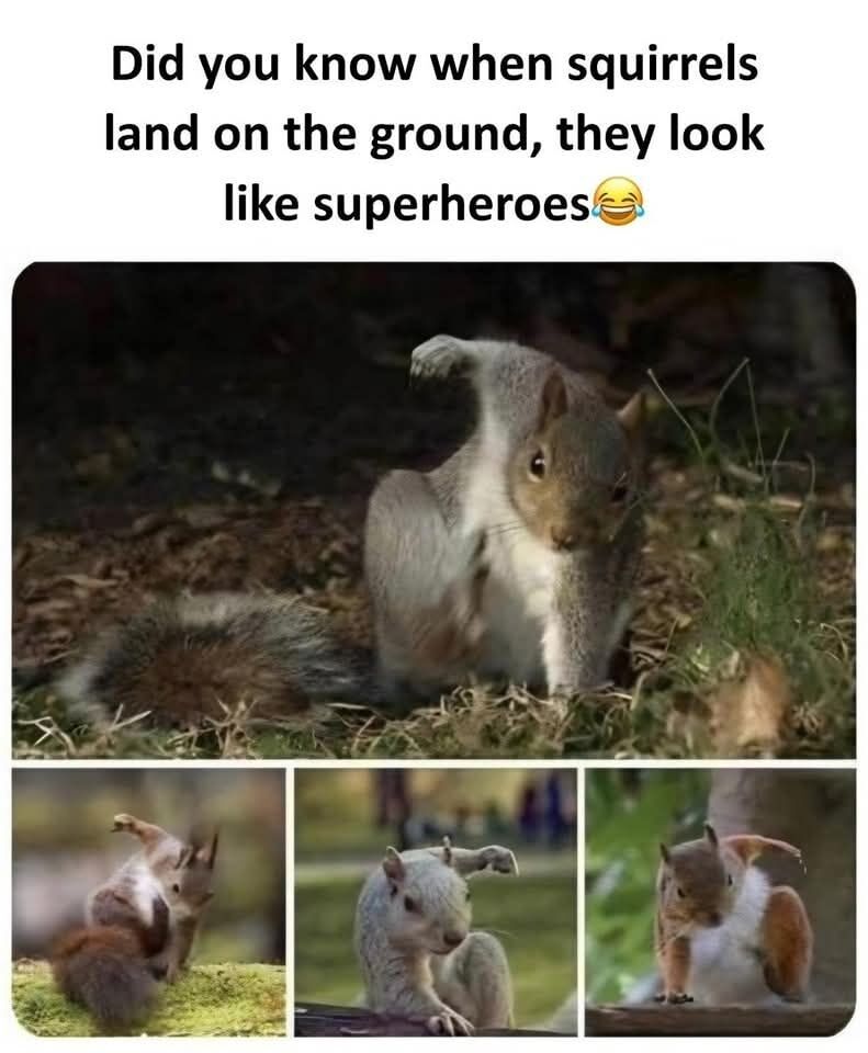 WholesomeMeme's tweet photo. https://t.co/EjJ4rSWWBA