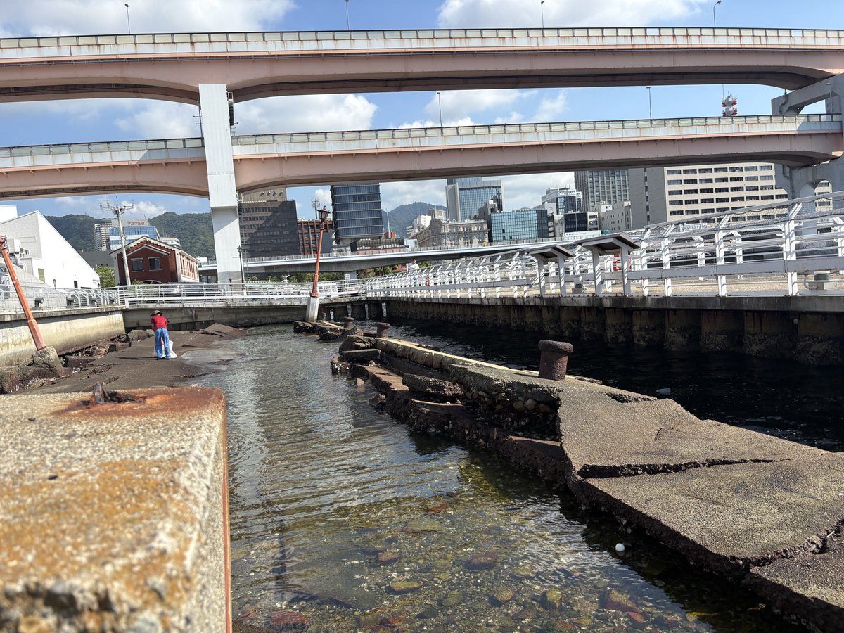 gochan_kuromame's tweet photo. 炎天下の中、阪神大震災のメモリアルパークの海面清掃を！汗が恐ろしいほど出ました！暑すぎる！
そして先ほど時間がないので晩御飯はバーガーキングをば！
久しぶりにEmerson Lake and Palmerの
Tarkusを！表題曲はやはり最高！これぞプログレ！ドラムも迫力あるし、グレッグの声もキースのシンセもかっこいい！