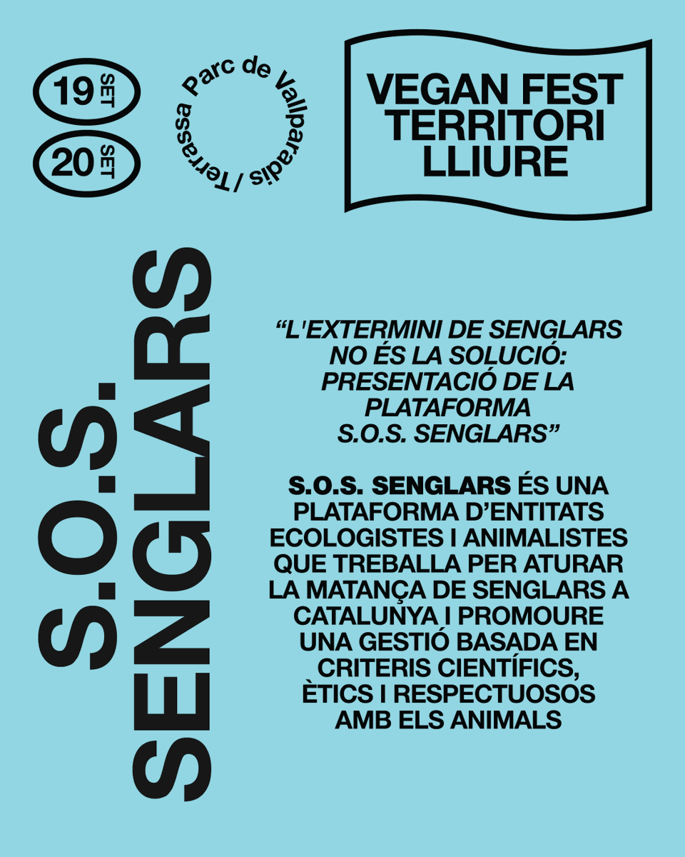 sossenglars tweet picture
