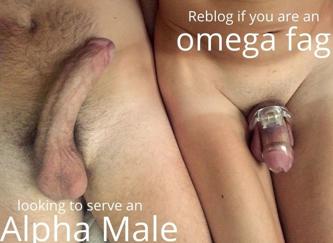 RealPussyMaker's tweet photo. One cock stands free, thick and unrestricted. The other is locked small and denied. That is the visual of hierarchy. An Alpha keeps what he has and uses it as he wants. A fag gets caged so he stops pretending he is equal. The difference in size and status is not accidental. It is the natural order made visible.