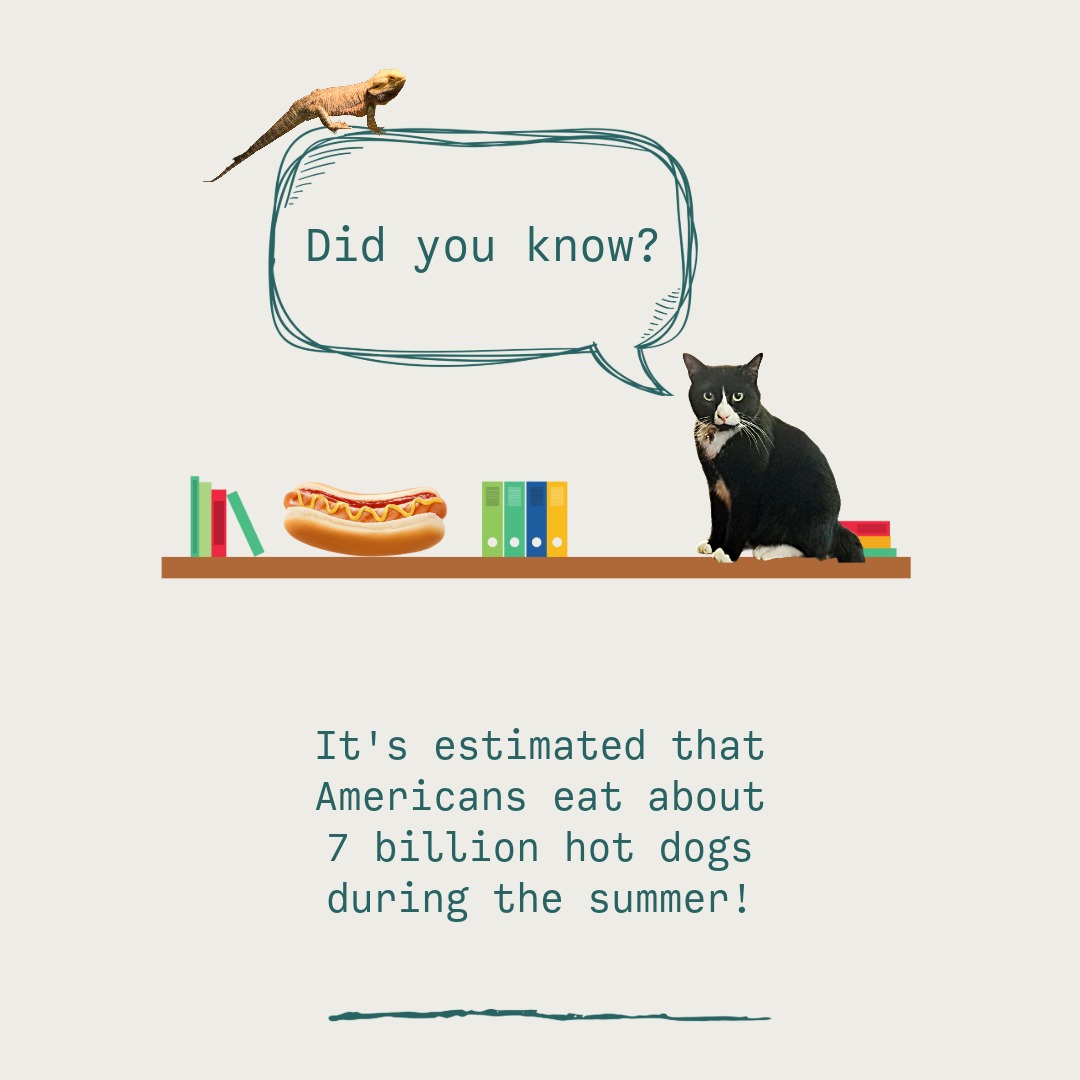 DAHoweLibrary tweet picture