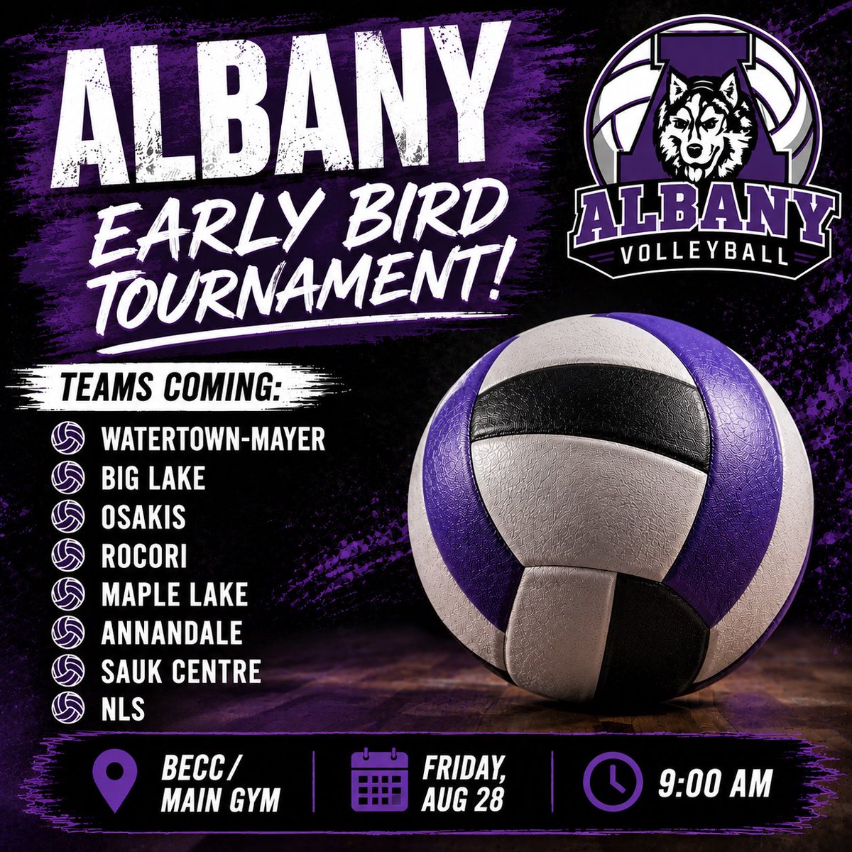 AlbanyVBall's tweet photo. Season starts this Friday!  Go Huskies! https://t.co/nH25macI6i
