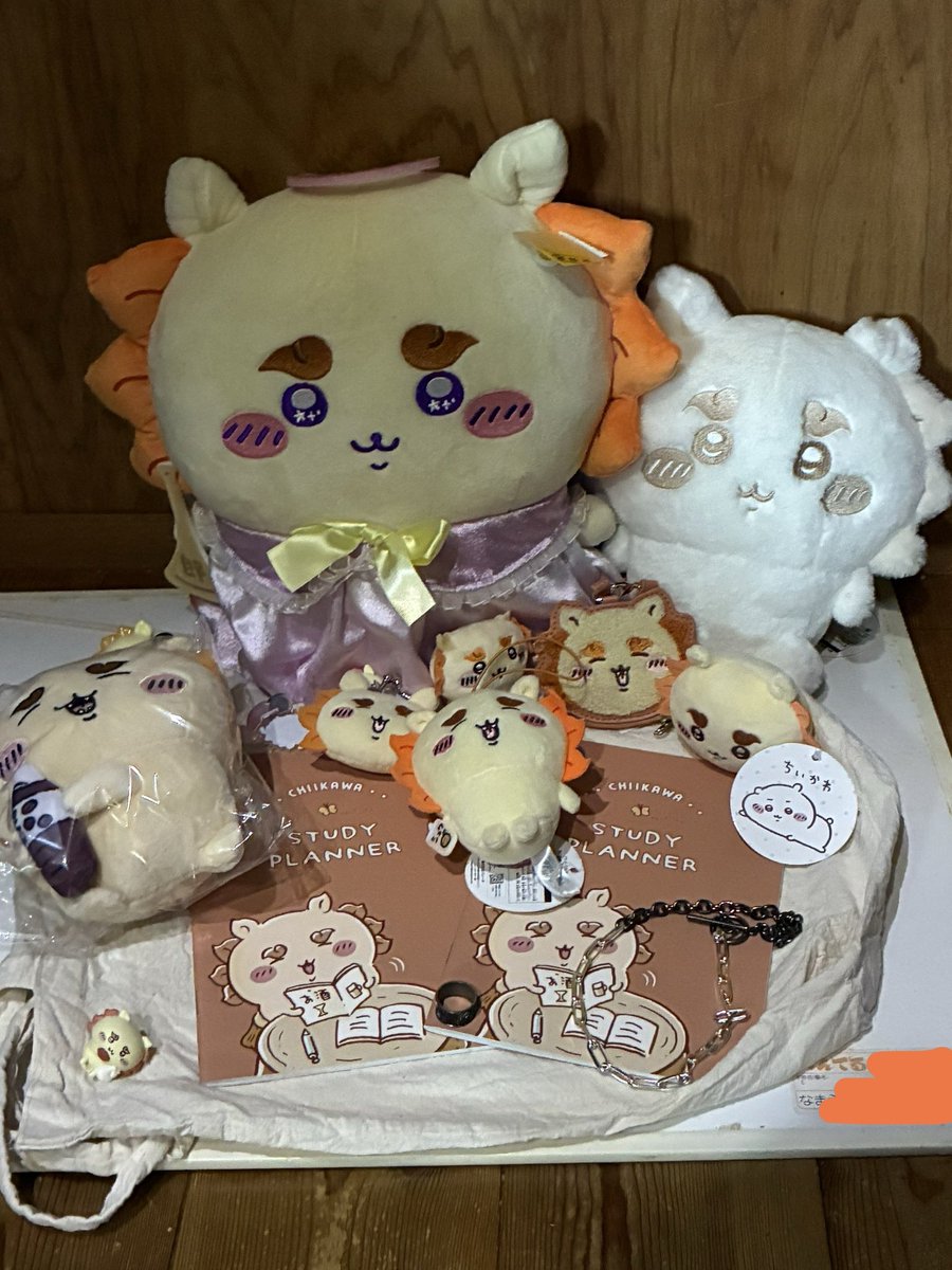 rito593's tweet photo. シーサーちゃまお誕生日おめでとう🎂
いつも太陽みたいにキラキラした笑顔と性格でたくさんの人を癒してくれるシーサーちゃま✨
輝く笑顔を見るだけで元気になります✨
これからも大好きだよ✨
素敵な一年にしてね✨🐶🌺

#シーサー誕生祭2026
#ちいかわシーサー　#シーサー推しと繋がりたい
#ちいかわ https://t.co/VgROHfGmLl