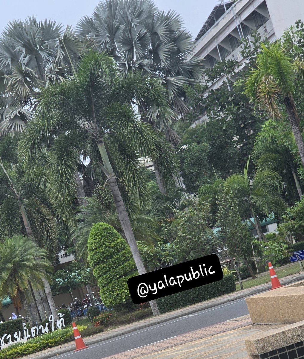 yalapublic's tweet photo. ยะลาในเมืองเมื่อมีโอกาสก็ต้องอย่าพลาดที่จะเรียนรู้ ช่วยคู่ผัวเมียและชู้เขา dm. มาพูดคุยแต่ขอคนมีมารยาทไม่น่ารำคาญ  #ยะลาทัก #ยะลานัดเจอ #ยะลานัดเย็ด #ยะลาลับ https://t.co/3LaXRIBri0
