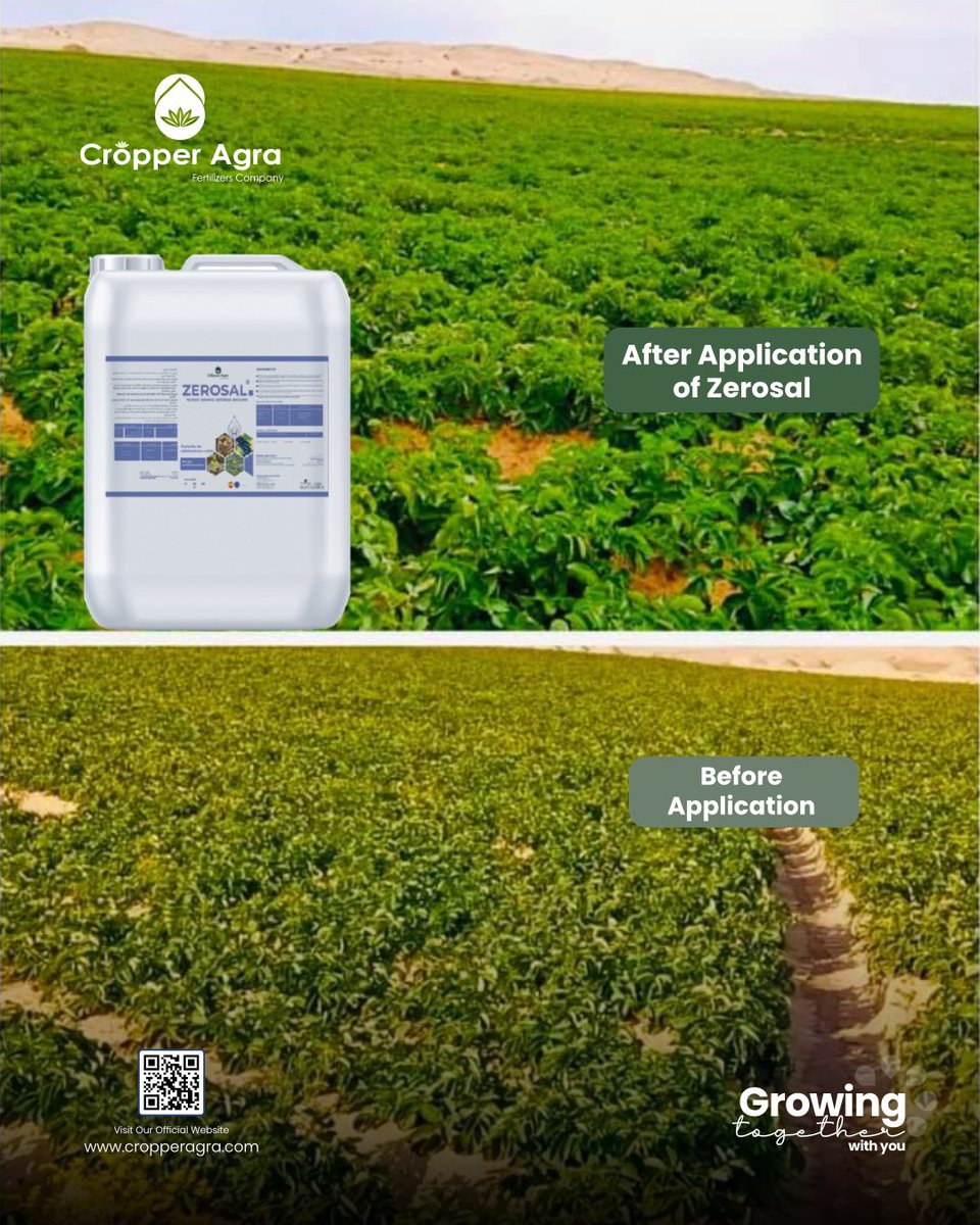 Cropper_Agra's tweet photo. 🌱 What makes Zerosal MTT special?

🧂 Sodium displacement
🌱 Faster plant recovery
💧 Better tolerance to salinity &amp; drought
🌾 Improved soil &amp; nutrient uptake
🚀 Zerosal — stronger plants, healthier soil.
#Zerosal #CropperAgra #AgTech #SoilHealth #SalinityManagement https://t.co/N6AUAPgtBb