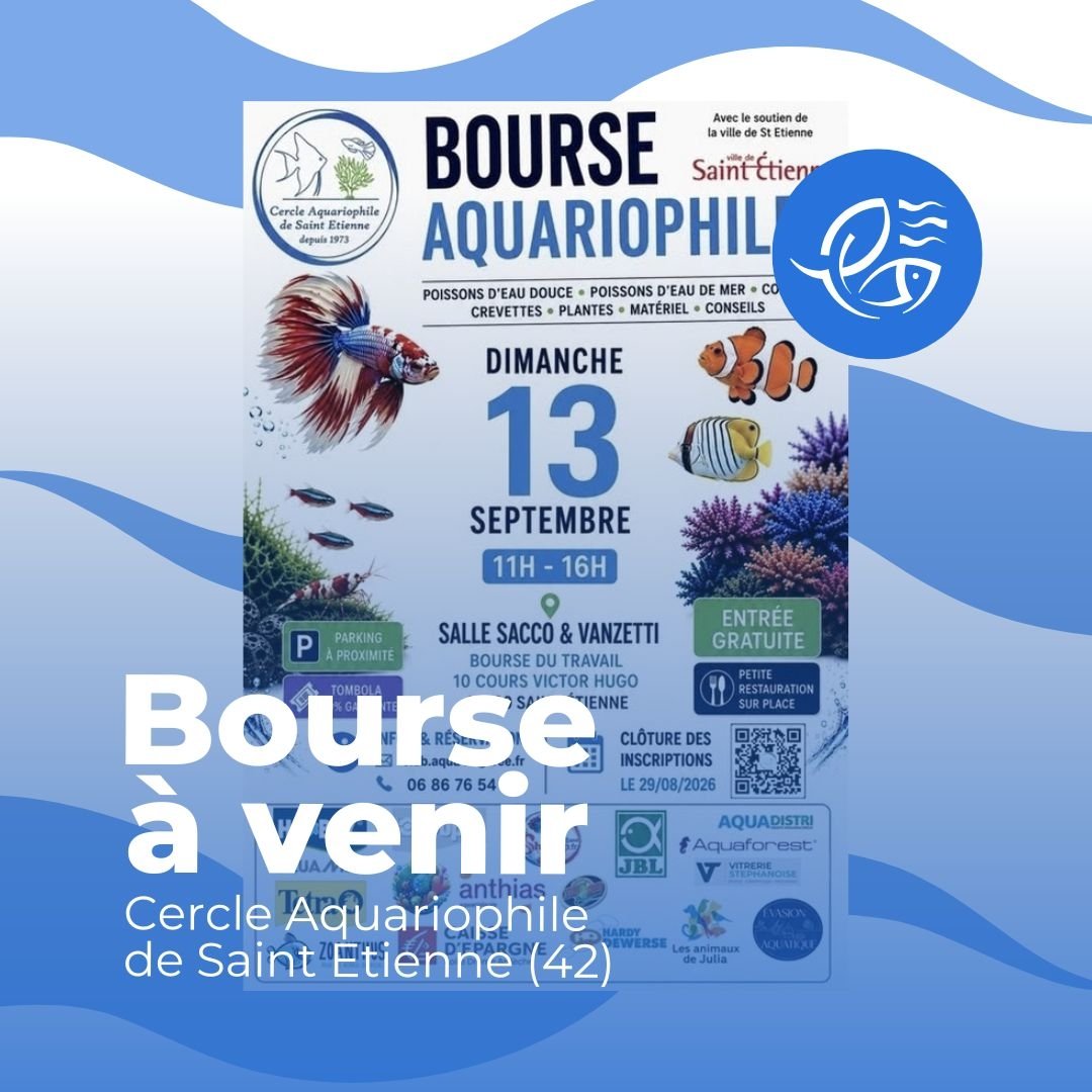 FedeAqua's tweet photo. 42 Saint-Etienne - 13 septembre 2026 - Bourse du Cercle Aquariophile de Saint-Etienne
https://t.co/tidO7bhoCW https://t.co/LcsnZAzEAz