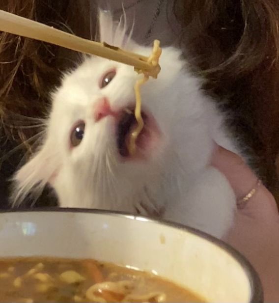 melyekaa's tweet photo. ˃ 𖥦 ˂  Roji Ramen lagi https://t.co/dARCC6EAKE