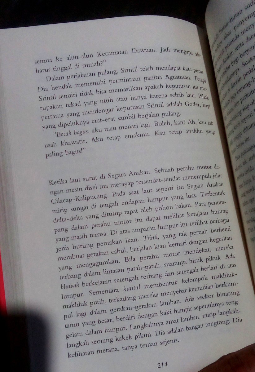 pergijauhkealam's tweet photo. Tentang Segara Anakan di Cilacap, diceritakan oleh Ahmad Tohari di Ronggeng Dukuh Paruk. Di sana tempat berbagai macam burung hidup: trinil, bluwak, kuntul, sampai alap-alap.

Dalam novel, Marsusi berjalan jauh mendatangi Tarim, seorang dukun kampung sakti di Segara Anakan. https://t.co/yLZMKuV0Mp