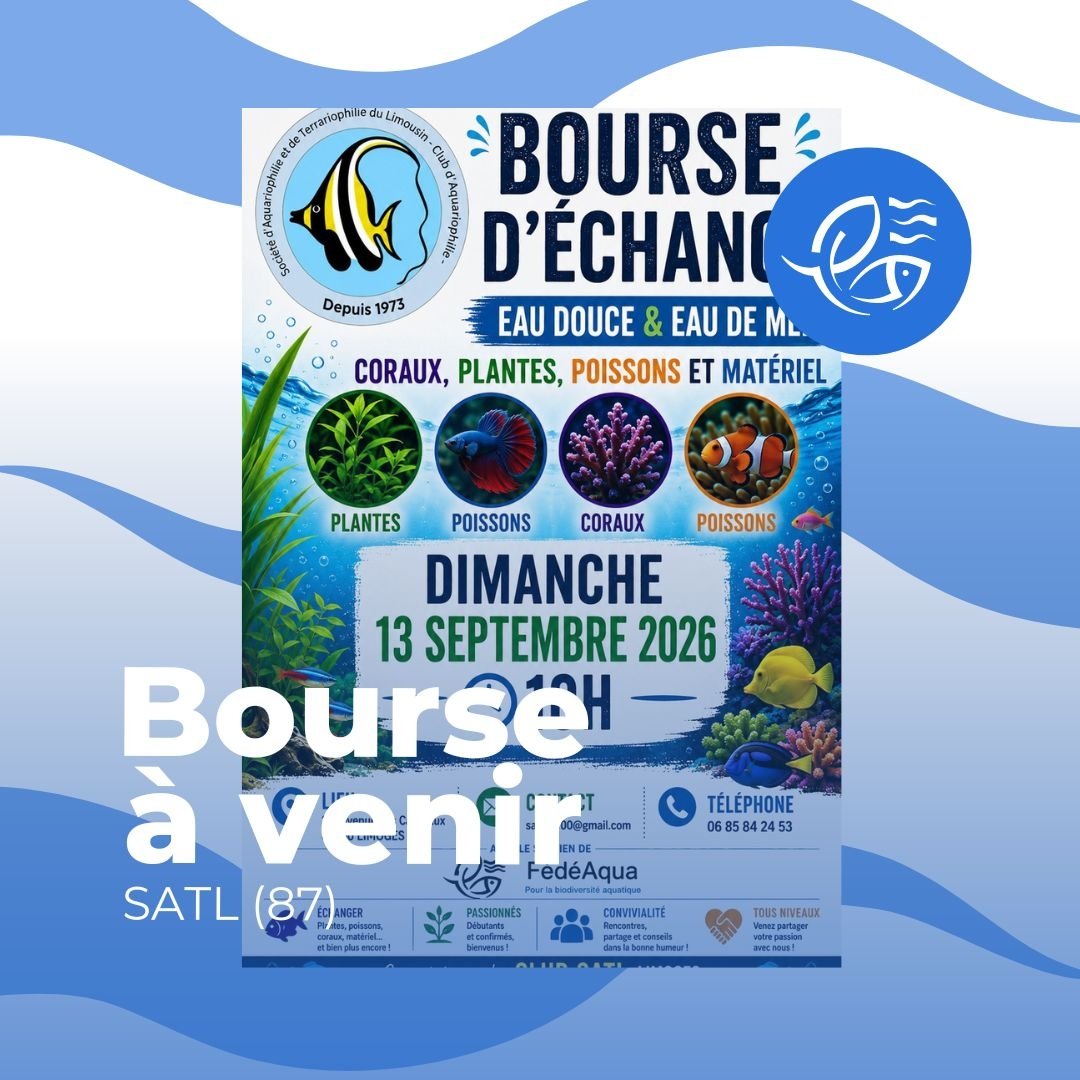 FedeAqua's tweet photo. 87 Limoges - 13 septembre 2026 - Bourse de la Société d'Aquariophilie et de Terrariophilie du Limousin
https://t.co/LpGOpg8TzB https://t.co/AwWEPe5CzZ