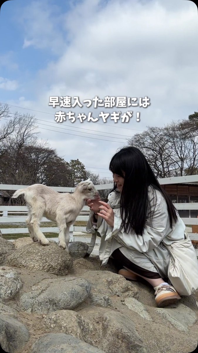 hidamari_date's tweet photo. However It has damaged my relationship with my girlfriend, possibly beyond the breaking point, and I need to find a new path forward if I am to save my relationship with my friends, family, partner, and myself. Any resources, techniques, research, meditation anything is welcome. https://t.co/iQalG7LBO8