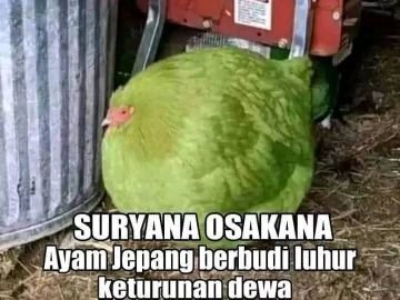 WeaverBrantt's tweet photo. @WeaverHarumasa @WeaverHoshina @WeaverEvanescix @WeaverMika Hoshina:
Soalnya dia bisa baca pikiran gw mau fomo ikutan lari https://t.co/rvX4GxCoXA