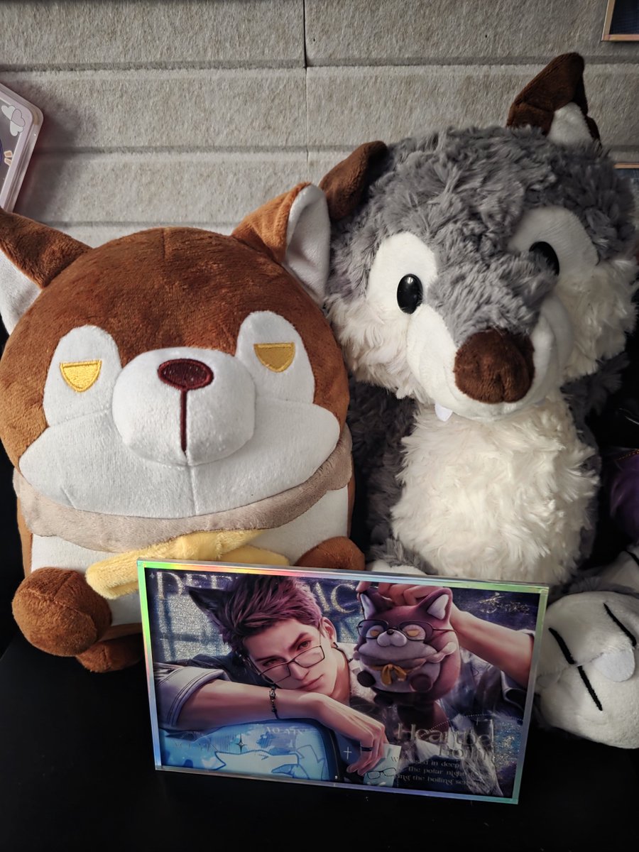 DrawTian's tweet photo. Today I have a new wolf at home ! 🫶🐺

#BringBackValko #ValkoIsLoved #全世界都爱敖尹 https://t.co/kmoHULAAnH