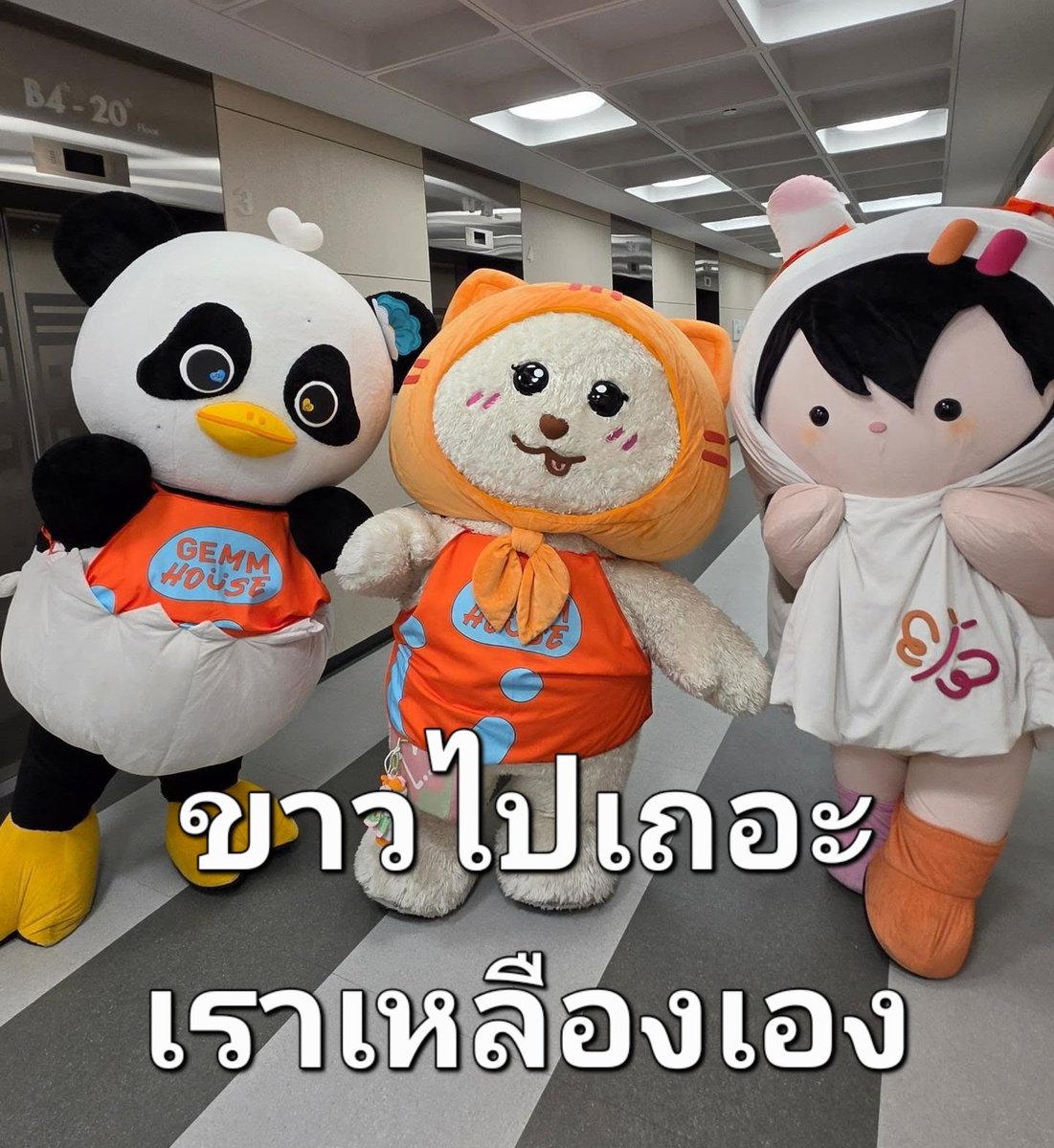 nobodyknowww_s's tweet photo. คนละขาวเดียวกันมาก5555554455555555555555555555555555555 https://t.co/ECRUOEBenp