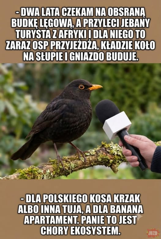 SzymonMachalic1's tweet photo. kocham te serie memów https://t.co/jc4ERgxcTf