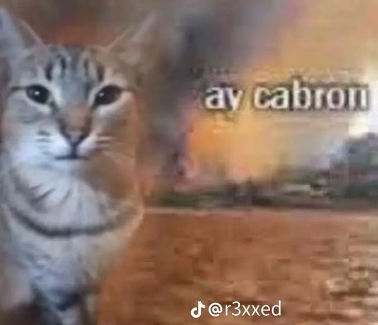 theantonurthumb's tweet photo. @yaoiyurico ragebaiting me at 7am too this is diabolical https://t.co/kTQFuGeWYH