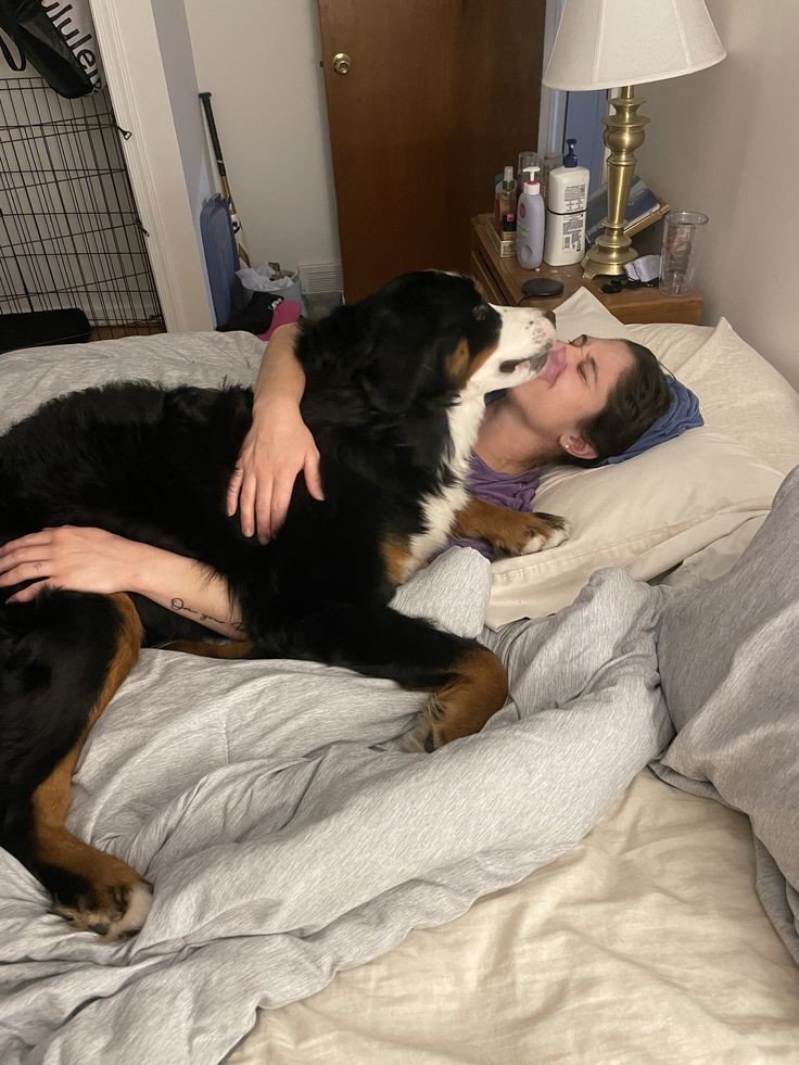 LadyRitax's tweet photo. This is the soft version.
Private is me getting stretched open and bred until I’m leaking.
Link in bio
#dogs #K9 #USA https://t.co/xLvYHfFnVF