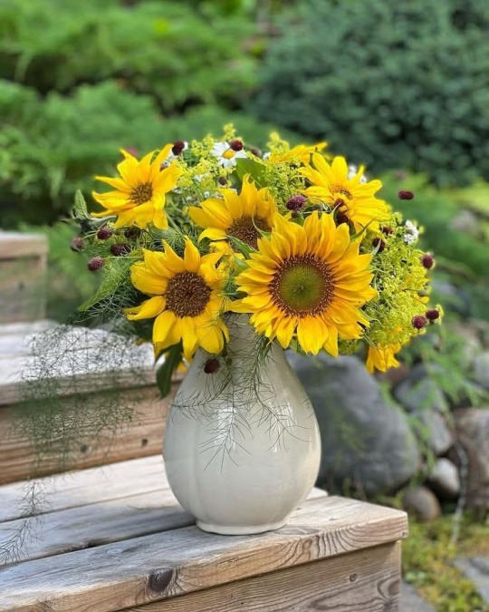 MelsBracelets's tweet photo. Good Morning Happy Monday #goodmorningXfam #goodmorningX #GOODMORNİNG #happymonday #HAPPYMONDAYMYXFAMILYWORLD #sunflowers #FlowersOnMonday #Monday #mondaymotivation #mondaymood #mondayvibez #mondaymorning #blessing https://t.co/x3P1JCpd7i