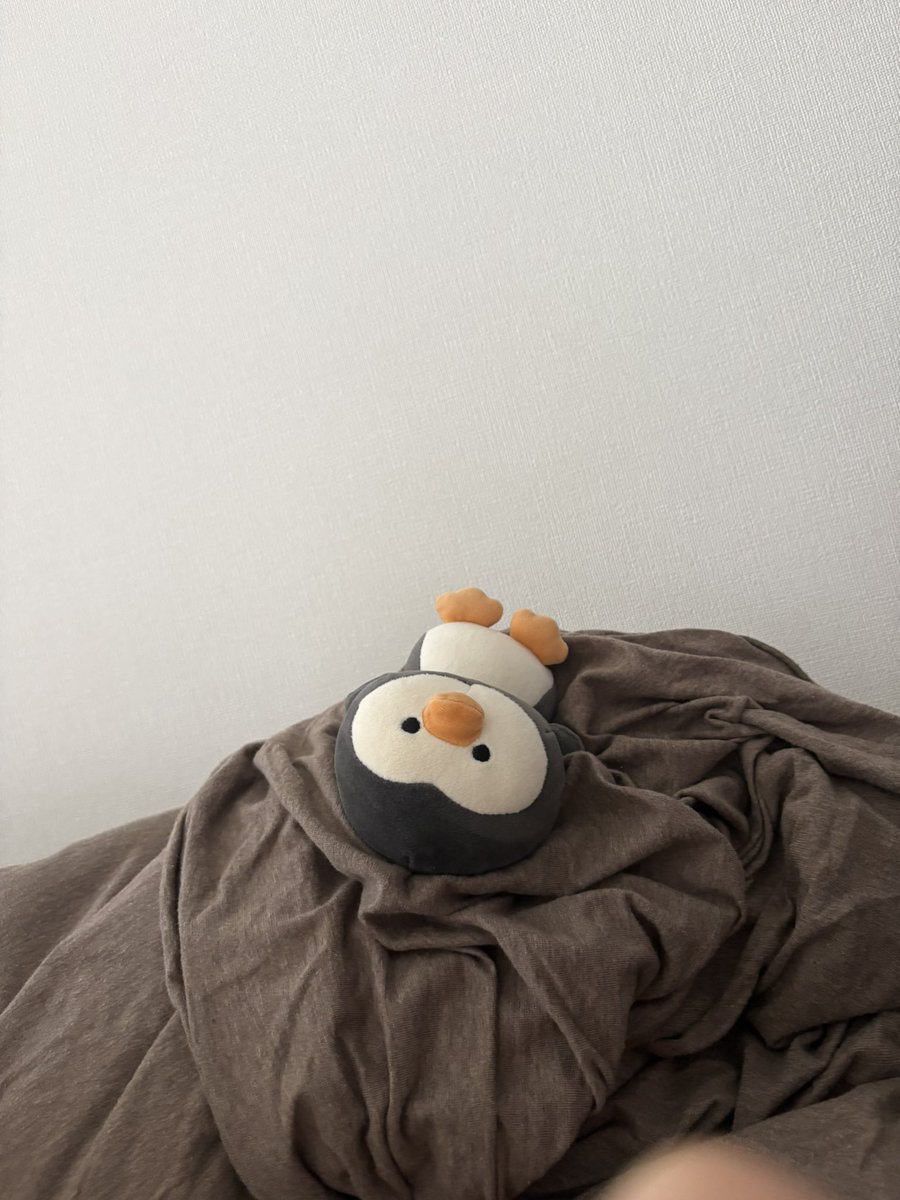 ogyaababu's tweet photo. うちの相棒かわいい https://t.co/J6mH7iVrho