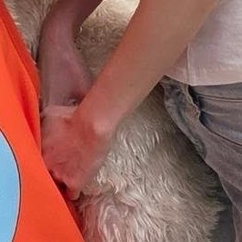 miwluvrrsoul's tweet photo. love also holding muvmuv’s thumb just like what she does with her pmiw 😭😭

MAMI LOVE TREATS HER MUVMUV
#GEMMHOUSEopenhouse https://t.co/3W0SzmMQji
