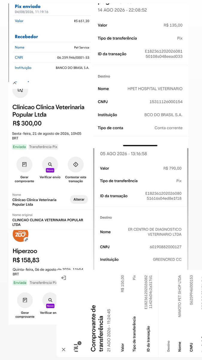 sonzapetsch's tweet photo. pra quem chegou agora, Aurorinha tem convulsões, tem um tratamento mensal que passou dos 2K esse mês e precisa ser castrada urgente! fui demitida pouco mais de uma semana e essa rifinha é pra ajudar na castração dela 🩷 comprovantes do mês abaixo 👇🏻

🔑: auroracalvinha@gmail.com https://t.co/7XlX3YnoaH
