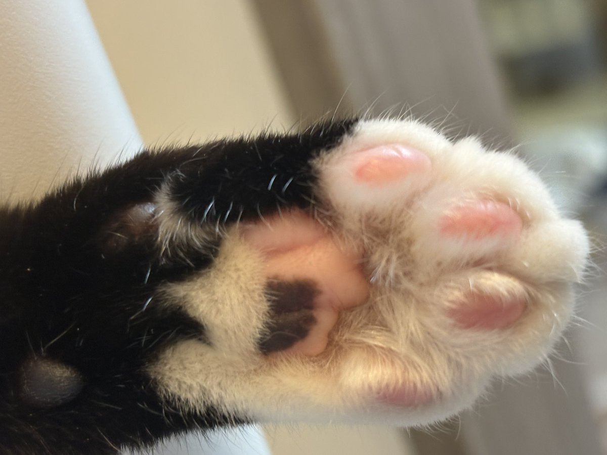 LisaDavis383822's tweet photo. ちょっとでも気にしてもらえたらそれで救われる https://t.co/CAQ2Qx15LX