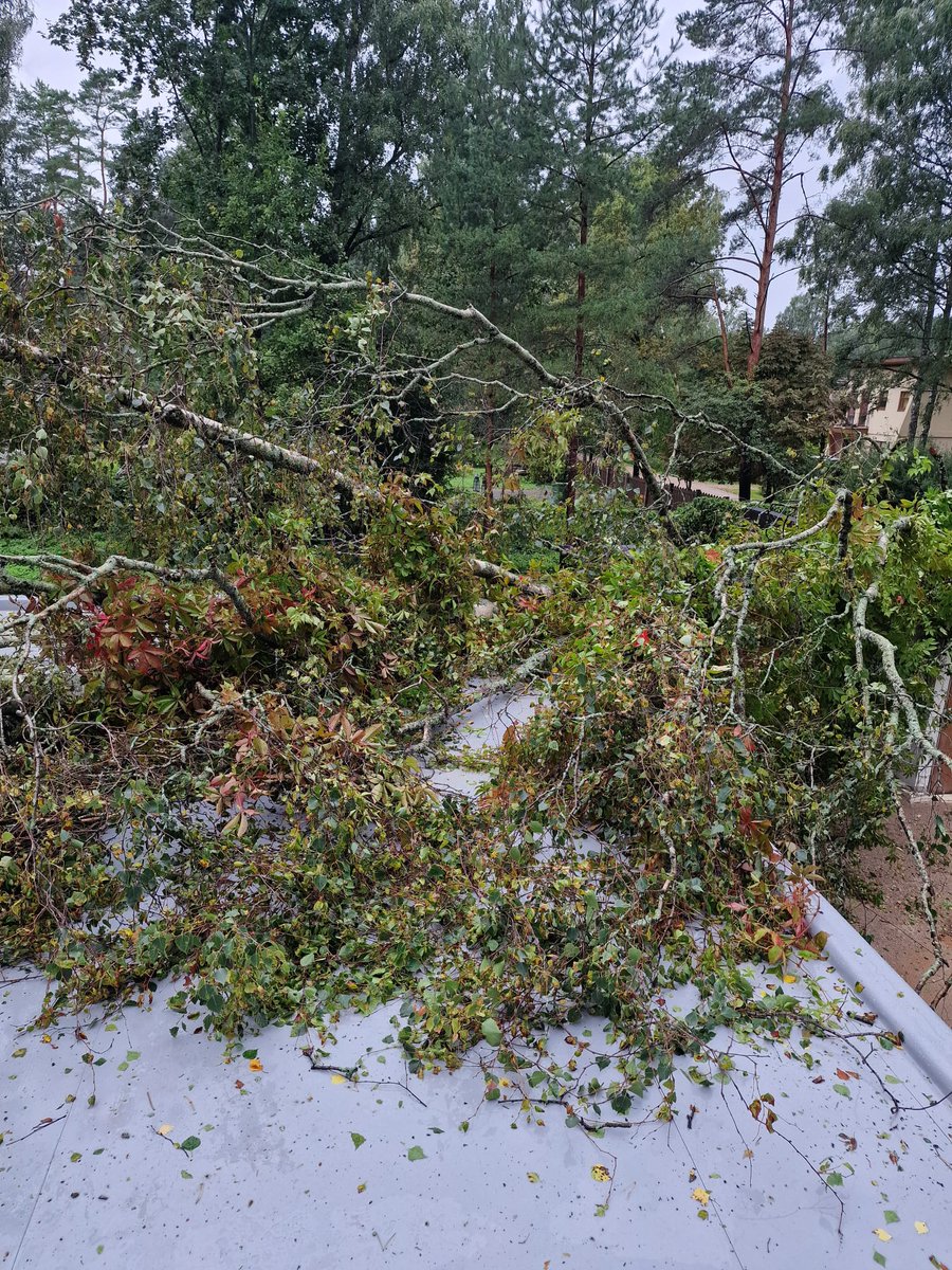 infoJMR's tweet photo. Saņēmām kopņu pieprasījumu ar šādu piebildi:
“Lūgums ņemt vērā iespējamu krītošu koku slodzi (kā rāda pēdējo vētru notikumi, tas būtu ļoti svarīgi)”

Diemžēl nevarēsim. Taču – mēs varam parādīt kā izskatās jumts ar mūsu kopnēm pēc koka krišanas Jūrmalā 22. augusta vētrā. https://t.co/YKkhGlgkPh