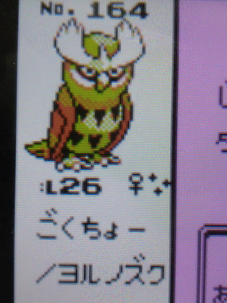 PekemonGET_yee's tweet photo. 可愛いごくちょー（cv中尾隆聖）🦉
#ポケモンクリスタルバージョン
#まのさば https://t.co/3WxiZGk7x4