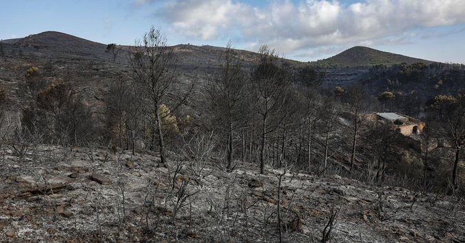posted_news's tweet photo. #IFSegorbe:
➡️La @generalitat levanta el confinamiento de los vecinos de Gátova que permanecían en sus casas a causa del incendio forestal.
➡️El Centro de Coordinación de Emergencias mantiene la situación 1 del Plan Especial de Incendios Forestales de la Comunitat Valenciana. https://t.co/4SoyC3NXBJ