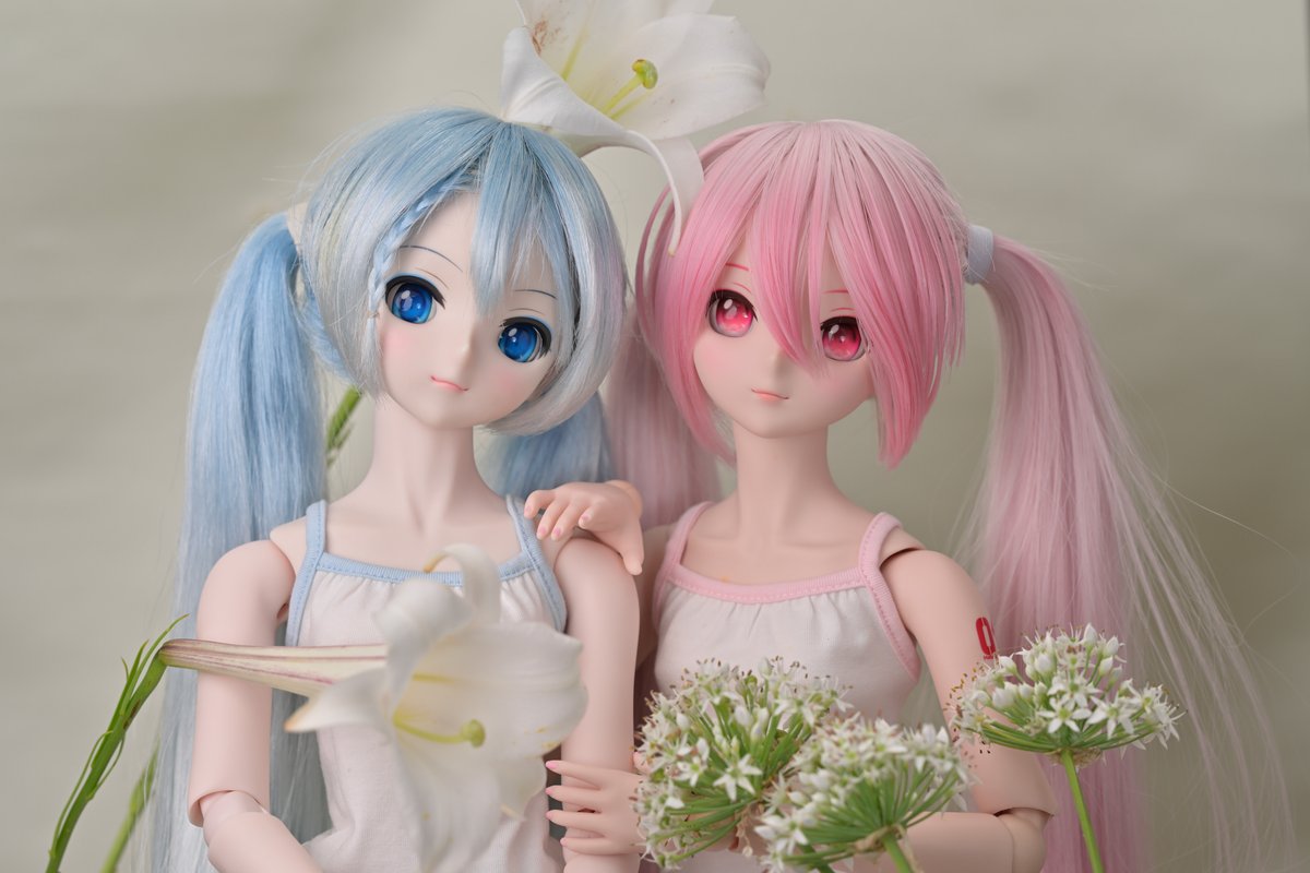 2384True2's tweet photo. #深夜の初音ミク撮影60分一本勝負
8/24のお題【ペア】
雪と桜のミクさんペア😴 https://t.co/VB7y9Okckc