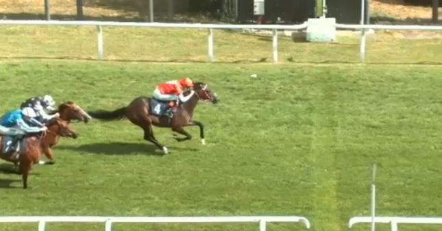 RacingPointTips's tweet photo. ROGUE IMPERIAL WINS!

2/1 winner on the board 🏇🔥 https://t.co/Wh0a3PAtQN