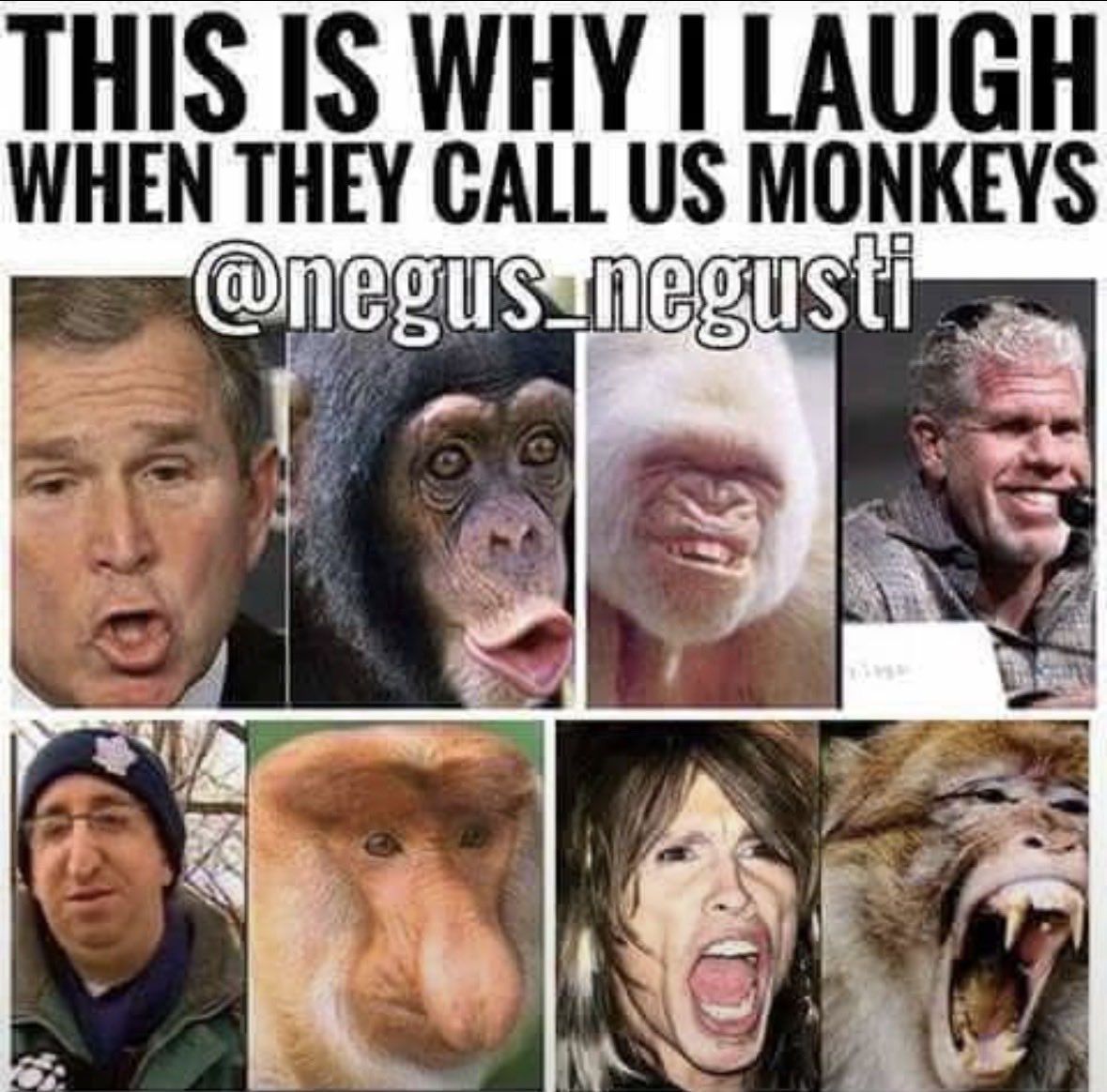 MightHiro's tweet photo. @snakeguy2000 @ReiiValentinaa https://t.co/o2S9AVk53Q