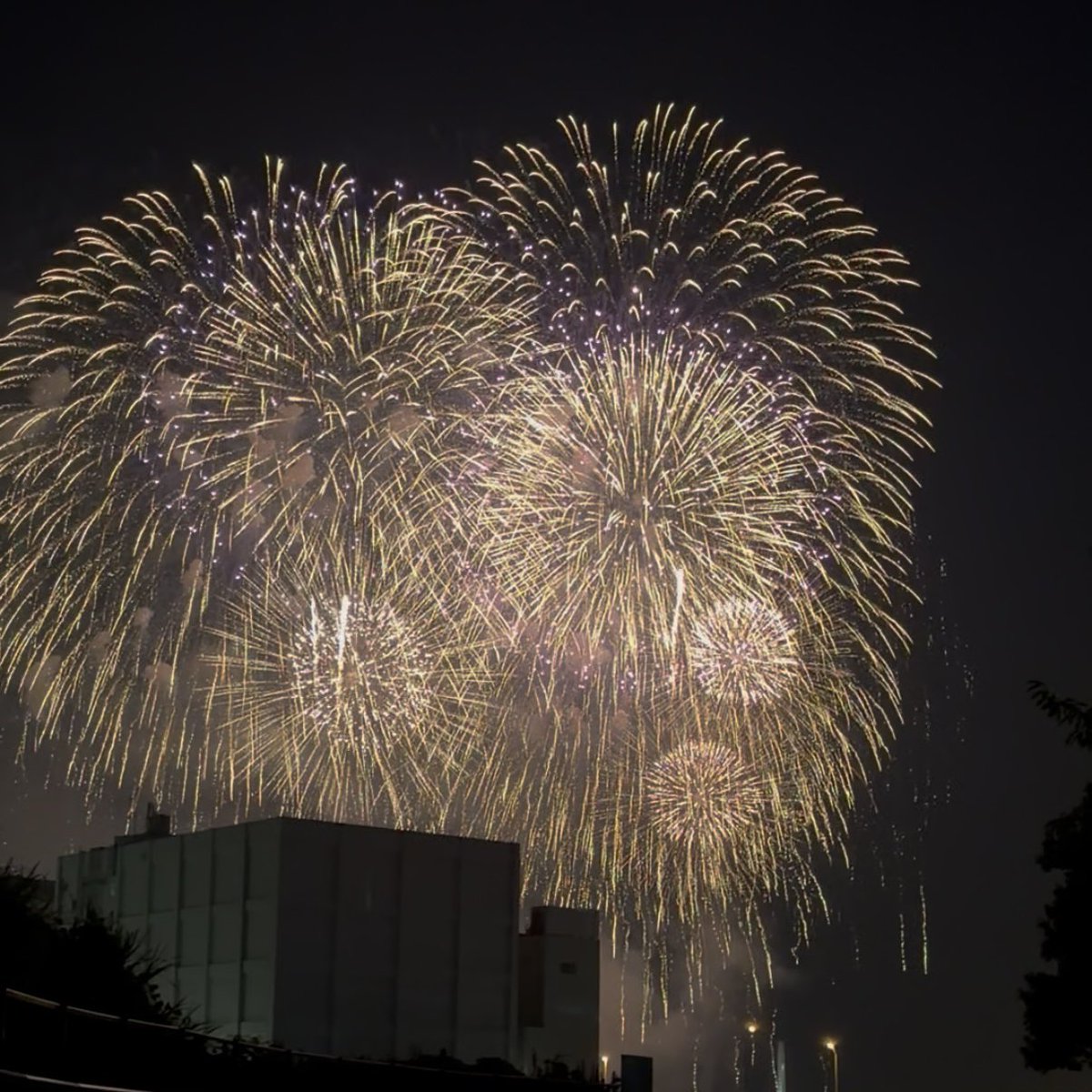 ko_moto's tweet photo. 7年ぶりに近くまで出かけて花火を見ました（2019年のねぶた以来）。
花火の写真って難しい。 https://t.co/Klz7HnBIsQ