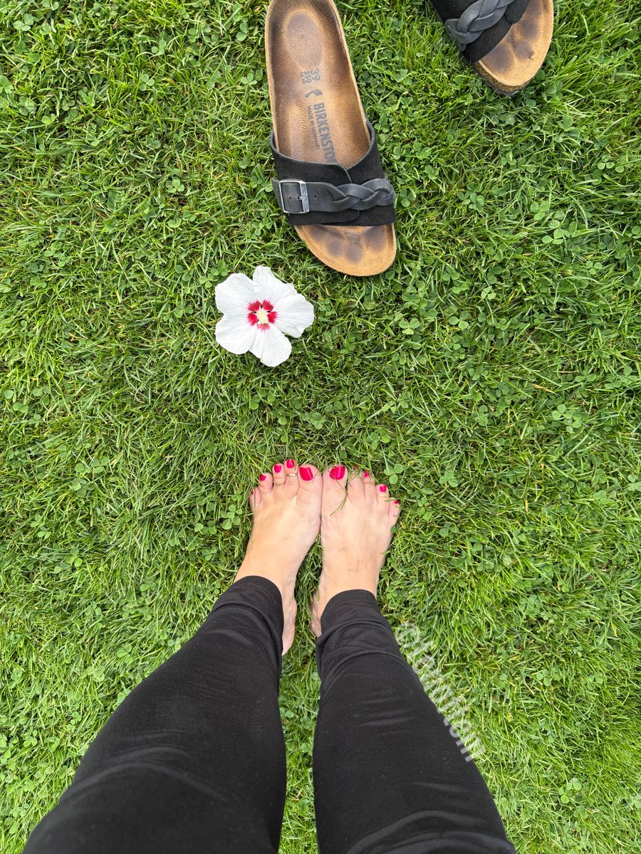 tenoftem's tweet photo. Playing in the park and in your head, simultaneously. https://t.co/Vq8gJfn5NT