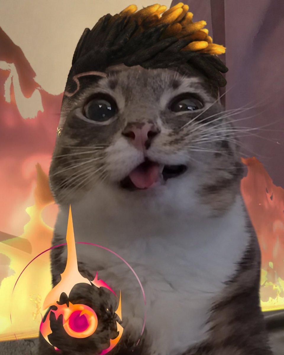 SnigdhaK8's tweet photo. Brain.exe has stopped working #cat #valo https://t.co/xBQiEIKka8