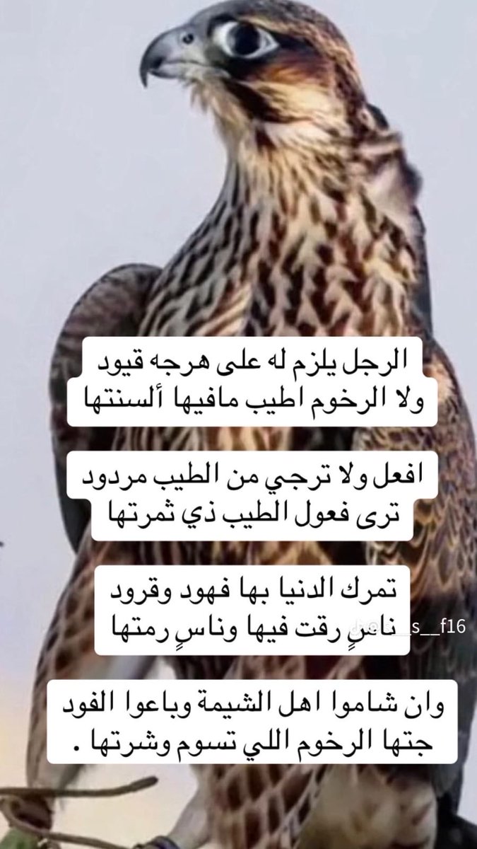 2000Abuhamd's tweet photo. https://t.co/8pkiUfxAfZ
