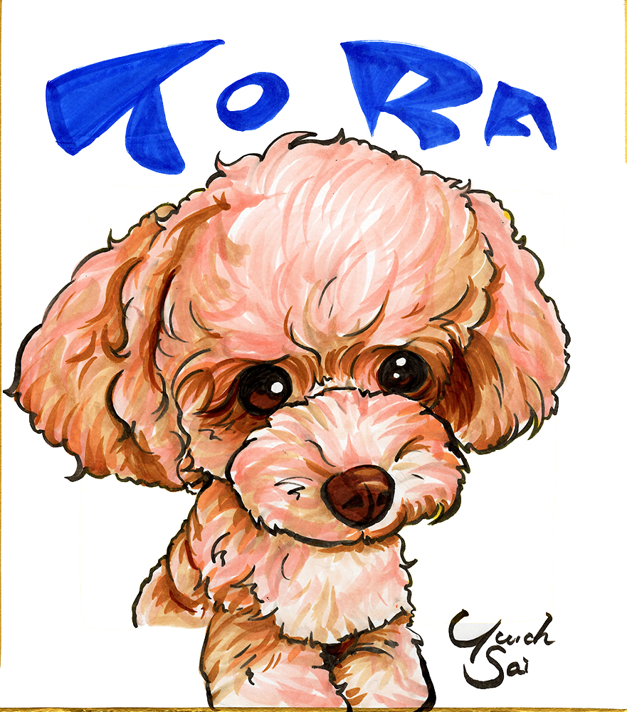 ichi_sa's tweet photo. 最近、ペットイベントへの出張似顔絵のご依頼が増えています🐶

10月はペットのお墓で、11月はペットの大型イベント。

当日は、1匹15〜20分ほどで、色紙に似顔絵を制作する予定です。

実は、ペットの早描きはちょっと大変…。
限られた時間で、その子らしさをしっかり描くために、サンプル制作中。 https://t.co/ffp6JzehKu