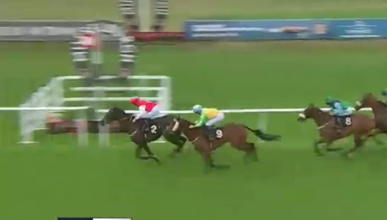 RacingPointTips's tweet photo. RUNNINSONOFAGUN WINS!

11/4 WINNER ✅

Called it before the race, front running angle was the key 

Another one landed. 💰🐎 https://t.co/jx07WMXhdY