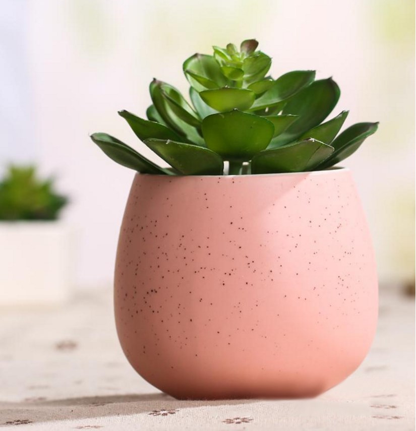 Stephan89612558's tweet photo. Just upcycled an old glass jar into a cute succulent planter—no fancy tools needed, just some paint and a bit of creativity! https://t.co/OZ4CMP9lbN