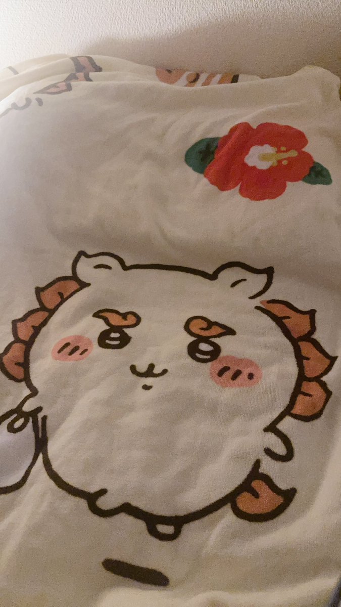 nasuro66's tweet photo. 懐か��い写真をみながらお気に入りのシーサーのタオルケットに包まれながら寝ます🧡

#シーサー生誕祭2026
#ちいかわ
#シーサー推し
#シーサー https://t.co/tbJiNyWfQG