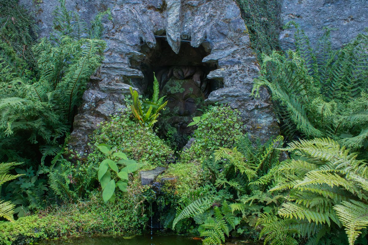juliet_turner6's tweet photo. Apparently some people are doubting the existence of a Welsh rainforest, so here’s an introduction. 

There are tropical rainforests and there are temperate rainforests. This is a temperate rainforest. 

This habitat is characterised by high enough rainfall and humidity that mosses, ferns, lichens, and liverworts can grow on almost every surface including on the trees.

Rainforests once covered huge areas of Britain but now only small fragments remain. 

This site has more information and an interactive map showing the UK’s natural rainforest zones vs the remaining fragments:
https://t.co/hqAKb9QJkp