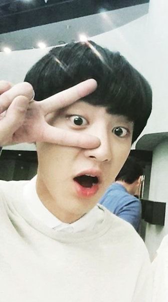 justawildbeast's tweet photo. #엑소엘트친소 #엑소엘_트친소
유령밴 걸리고(아직 안 풀리긴 함) 트찐됐어요
나랑 찬얘 엓얘할사람~ https://t.co/09NJVdHEvA