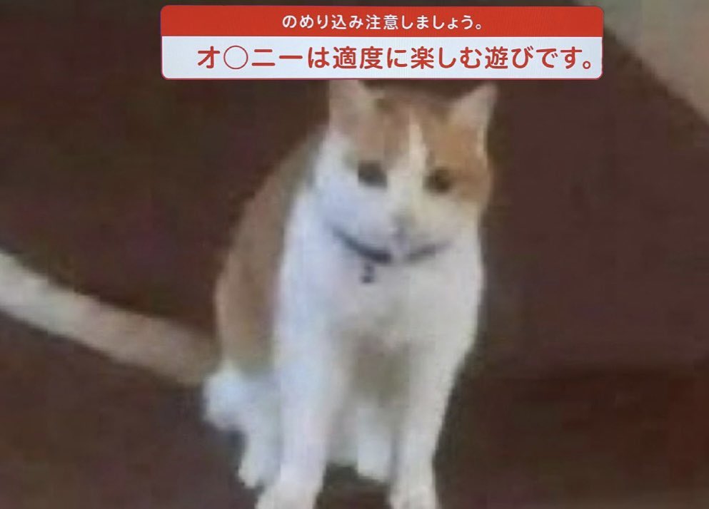 _suxll's tweet photo. https://t.co/C7uJ8y9nN9
