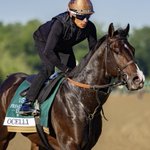 Photo by Preakness Stakes (@PreaknessStakes)
