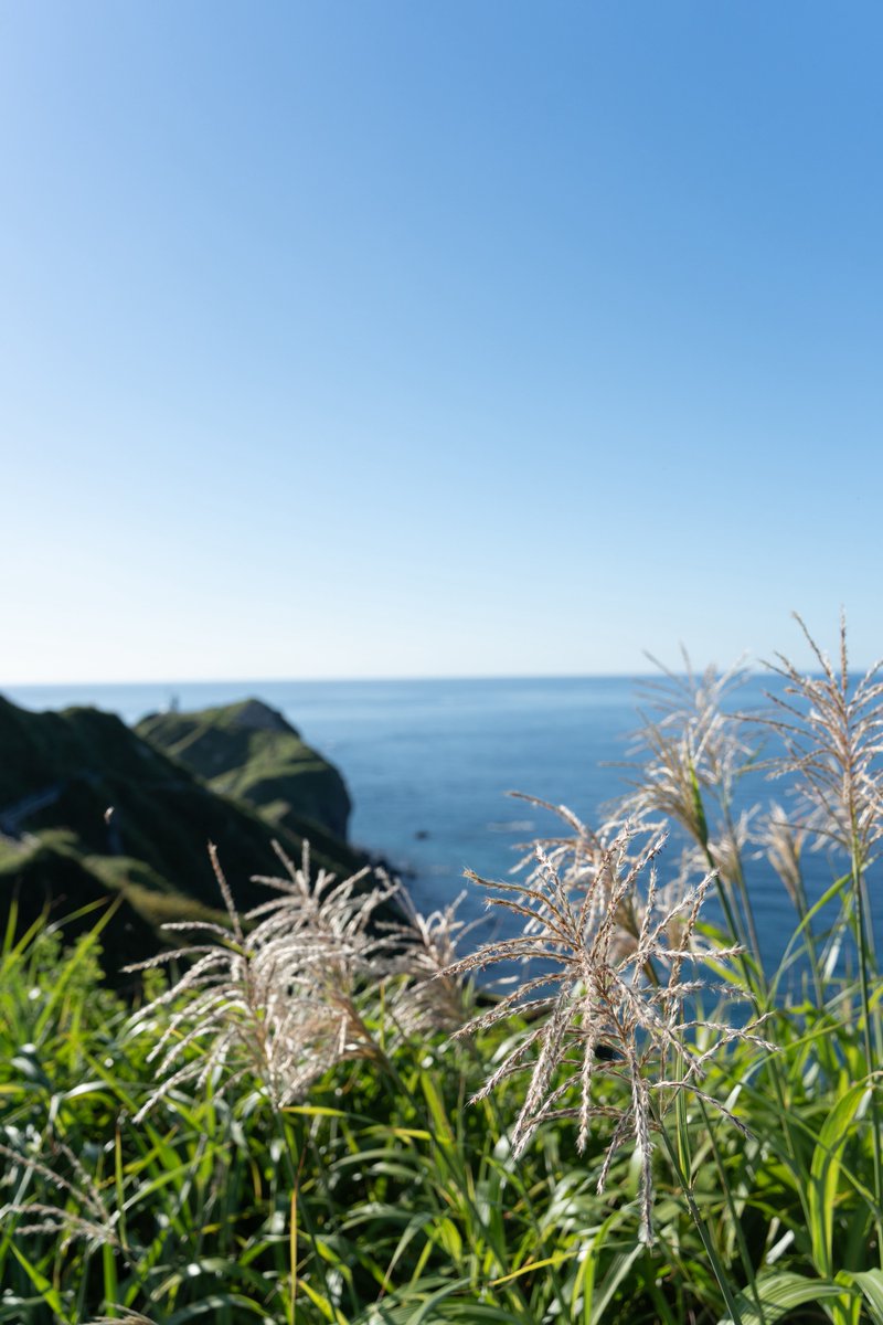 RXIXGXN's tweet photo. はじめまして。
GR IIIxとα7C IIで日常を撮っています。
とは言っても2機とも今月ゲットしました。

これまでもこれからも色々な場面を色々な方法で残します。

#α7cii
#GRiiix https://t.co/KFF2yoX8L4