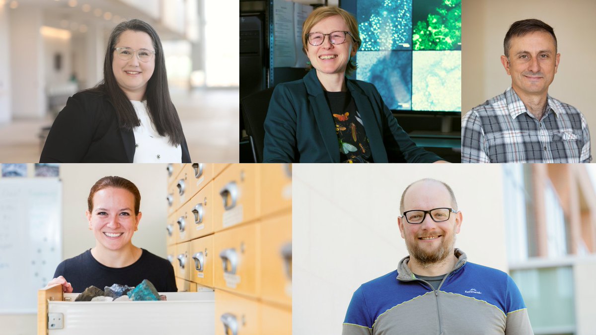 stfxuniversity's tweet photo. Nearly $300,000 in @InnovationCA funding is supporting two #StFX research teams working in forestry, agriculture, aquaculture, and critical mineral exploration. More @ https://t.co/RAsFK1ZkKr https://t.co/o9iwStfAIz