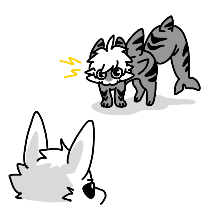 DragonSnow4's tweet photo. CAT VS DOG https://t.co/GuERzKkVb2