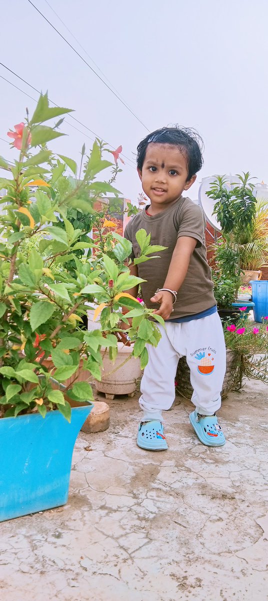 kapasedia's tweet photo. Chikki picking flowers on her terrace.❤️🧚🧞

#chikki #flower #terrace #rohinidelhi https://t.co/8etdiJ8dLR