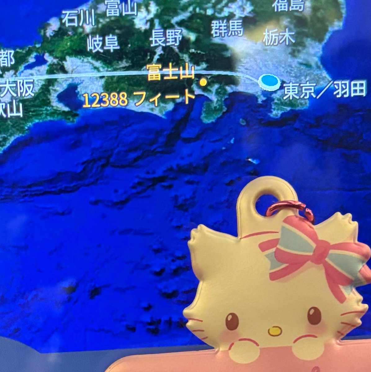 No1neko_'s tweet photo. たのしかったー🩵🩵🩵 https://t.co/j11tg5dhkC