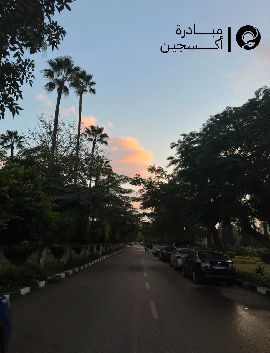 Oxygen_eg's tweet photo. هل النباتات فعلًا ليها طاقة بتأثر علينا؟ 🌿
علميًا:
النباتات بتتبادل الطاقة مع البيئة، ووجود المساحات الخضراء ارتبط بتأثيرات بتبعث طاقة إيجابية.
فلسفيًا:
إحساسنا بالراحة وسط النباتات مش صدفة. إحنا جزء من الطبيعة، فوجود الأخضر من حوالينا  نوع من العودة لشيء أصلي في تكويننا. https://t.co/DPydA0MSwL